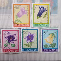 Болгария 1977. Флора. Цветы