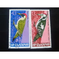 Болгария 1978 дятлы