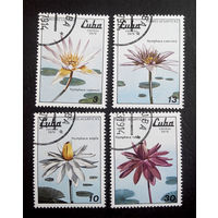 Куба 1979 г. Нимфеи (кувшинки). Флора, полная серия из 4 марок #0072-Ф1