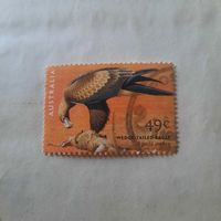 Австралия 2001. Фауна. Птицы. Wedge Tailed Eagle