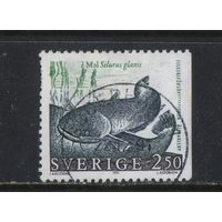 Швеция 1991 Природа Сом Стандарт #1650