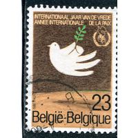 Бельгия. Международный год мира