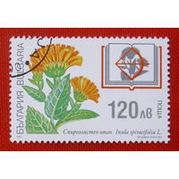 Болгария. Цветы. ( 1 марки ) 1997 года.