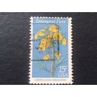 США 1979 цветы
