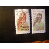 Польша 1990 Фауна Совы марки из серии