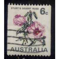 Австралия 1970 Mi# 445 Цветы - Открытие Национальной выставки марок ANPEX. Гашеная (AU10)