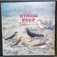 Птицы СССР	Определитель по голосам