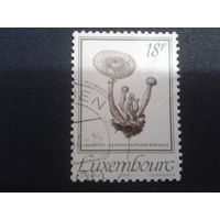 Люксембург 1991 грибы
