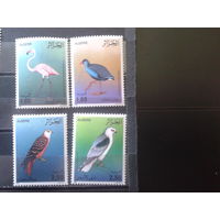 Алжир 1987 Птицы** Полная серия Михель-8,0 евро