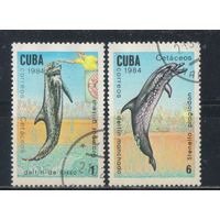Куба Респ 1984 Дельфины #2828,2831
