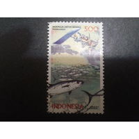 Индонезия 2000 космический спутник, косяк рыбы