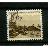 Лихтенштейн - 1949 - Природа и архитектура - [Mi. 267] - полная серия - 1 марка. Гашеная.  (Лот 40BD)