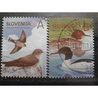 Словения 2014 Стандарт, птицы Михель-1,5 евро гаш