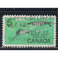 GB Доминион Канада 1968 Нарвал #421