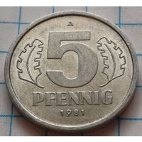 Германия - ГДР 5 пфеннигов, 1981     ( 2-5-6 )
