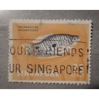 Сингапур. Фауна.