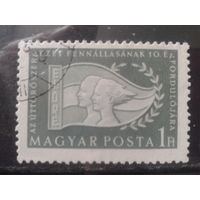 Венгрия 1956 10 лет пионерской организации, значек