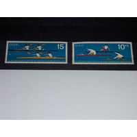 Германия ГДР 1966 Спорт. Чемпионат мира по гребле на каноэ в Берлине. Полная серия 2 чистые марки