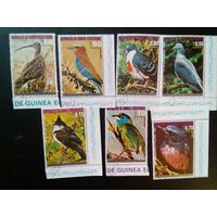 Экваториальная Гвинея, Птицы   7 марок