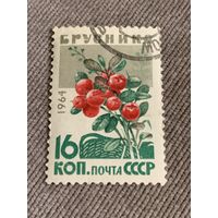 СССР 1964. Брусника. Марка из серии