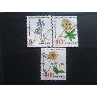 Польша 1967 цветы