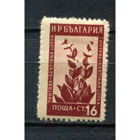 Болгария - 1953/1954 - Горные цветы и лекарственные растения 16St - [Mi.878] - 1 марка. MH.  (Лот 32FA)-T25P8