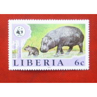 Либерия. Фауна. Бегемот. ( 1 марка ) 1984 года. 4-5.
