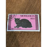 Монголия 1987. Домашние породы кошек. Марка из серии