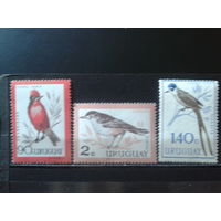 Уругвай 1962-3 Птицы* Михель-4,3 евро