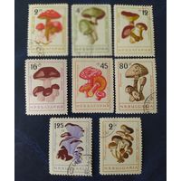 Болгария 1961 грибы
