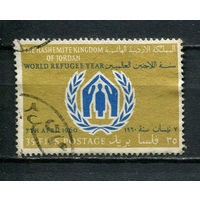 Иордания - 1960 - Всемирный год беженцев 35F - [Mi.360] - 1 марка. Гашеная.  (Лот 42CP)