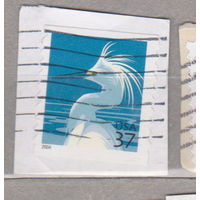 Фауна птицы США 2004 год лот 1068 вырезки цена за 1 марку