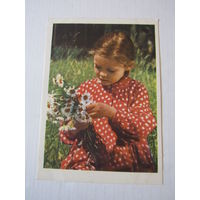 Букет ромашек 1961 цветное фото Игнатович