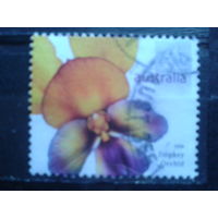 Австралия 2006 Цветок Михель-2,8 евро гаш