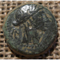 Греция Seleukid короли Сирии. seleukos IV Филопатор (187-175 до н.э.).10гр.21мм.