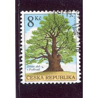 Чехия. Деревья