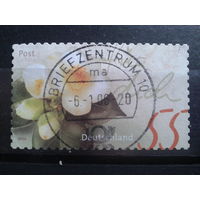 Германия 2004 Камелии Михель-1,0 евро гаш. зубцовка 10:10 1/4