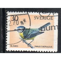 Швеция. Mi:SE 696. Евразийская лазоревка (Cyanistes caeruleus) Серия: Птицы 1970.