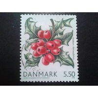 Дания 2008 ягоды