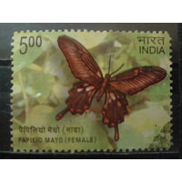Индия 2008 Бабочка