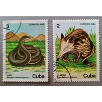 Куба, 1984