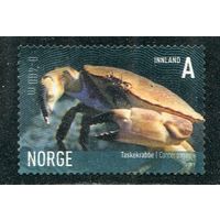 Норвегия. Фауна. Большой сухопутный краб