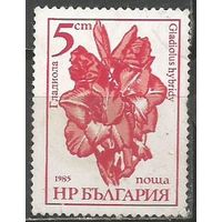 Болгария. Садовые цветы. Гладиолус. 1985г. Mi#3406.