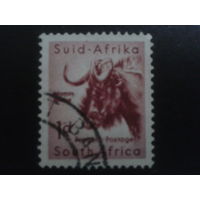 ЮАР 1954 стандарт, буйвол