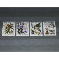Польша 1980 Флора. Цветы. Лекарственные растения. 4 марки