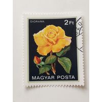 Венгрия 1982.  Флора. Розы