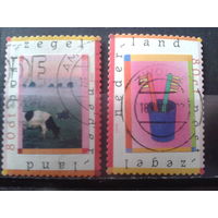 Нидерланды 1998 Поздравительные марки