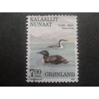 Дания Гренландия 1988 птицы