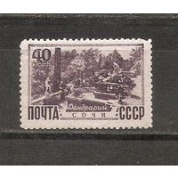 СССР 1949 Дендрарий Сочи