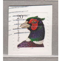 Птицы фазан  фауна США 1998 год лот 1068 вырезки цена за 1 марку